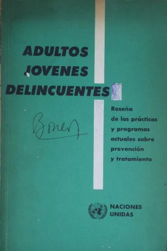 Adultos Jóvenes Delincuentes Departamento De Asuntos Económi