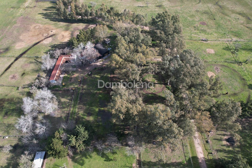 Imagen 8 de 26 de Terreno Fraccion En Venta Ubicado En Cañuelas, Resto De La Provincia, Buenos Aires