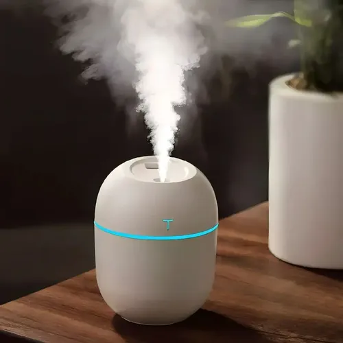 01 Umidificador De Ar Portátil 220ml Purificador Duhome