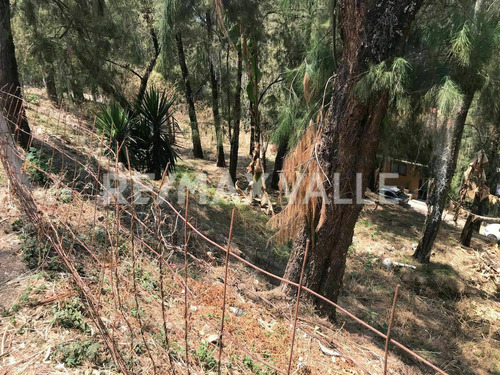 Imagen 3 de 8 de Terreno En Venta.