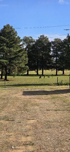 Lotes Al Golf Entre Rios