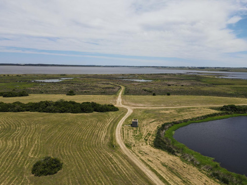 Chacra En Las Coronillas José Ignacio