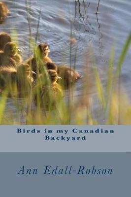 Birds In My Canadian Backyard - Ann Edall-robson