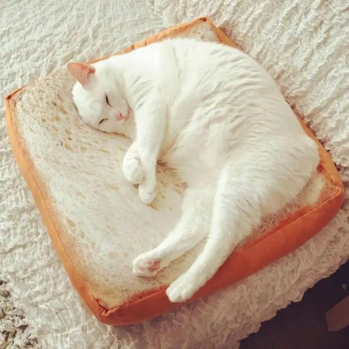 Caja De Almohadilla De Cojín Diseño De Pan Tostada Para
