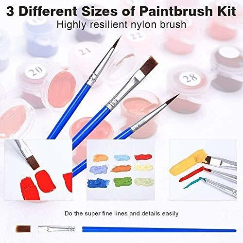 By Numbers Diy Oil Kits For Adults And Kids 16  20 