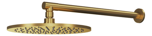 Chuveiro Articulado Parede Metal Safira Gold Fani
