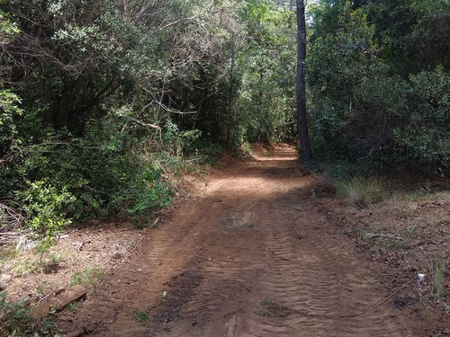 Buscas Un Estilo De Vida En ArmonÃa Con La Naturaleza?