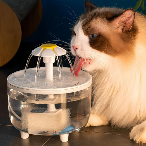 Dispensador De Agua Para Gatos De Agua Para Gatos D