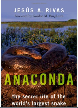 Anaconda : The Secret Life Of The World's Largest Snake -...