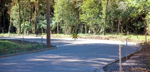 Imagem 4 de 16 de Terreno A Venda - 1081