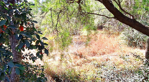 Villa Giardino, Lotes Sobre Bvard La Cañada