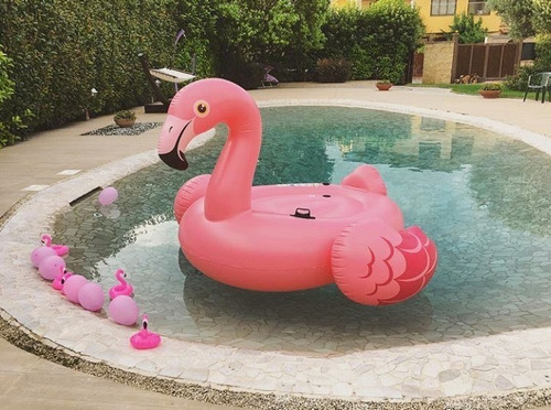 Flamingo Salvavidas Inflable Alberca 142x137 Cm Intex 57558 Rojo