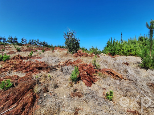 Sitio L37 Vista Amplia En Venta En Pichilemu