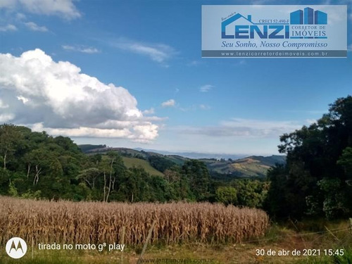 Imagem 14 de 29 de Chácaras À Venda Em Munhoz/mg - Compre O Seu Chácaras Aqui! - 1491009