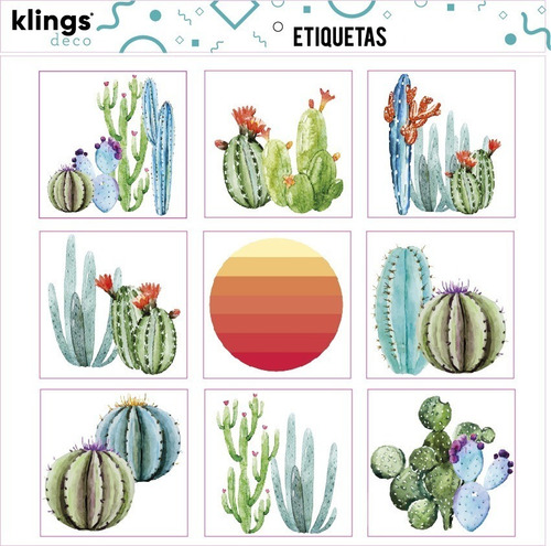 Etiquetas Diseño Cactus  Trasparenes Para Frascos Botellas