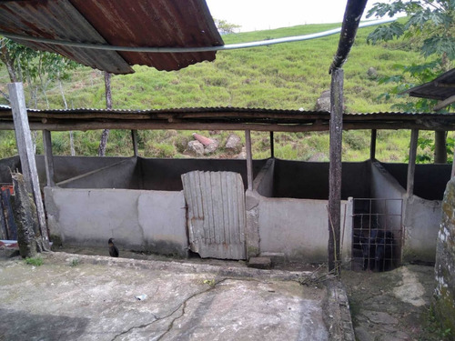 Imagen 12 de 23 de Finca Productivo En Tachira