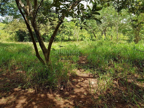 Imagem 11 de 14 de Chácara Em Claraval - Mg - Ch0013_rncr
