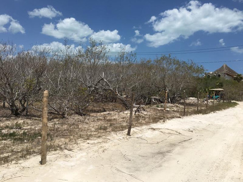 Terreno En Venta En Isla Holbox Punta Coco