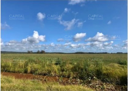 Campo Agrícola-ganadero Rocha
