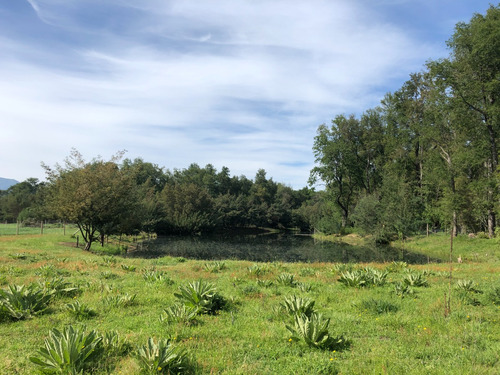 Parcela Plana 5.000 M2 En Condominio - San Fabián De Alico
