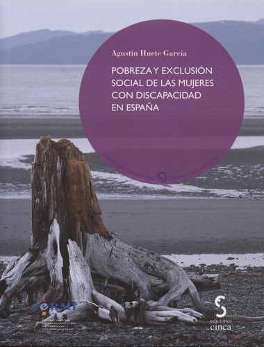 Pobreza Y Exclusion Social De Las Mujeres Con Discapacida...