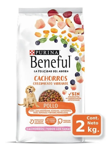 Alimento Para Perro Beneful Puppy Saludable 2 Kg