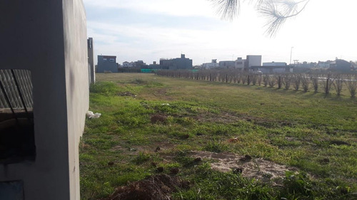 Imagen 3 de 5 de Terreno - Funes