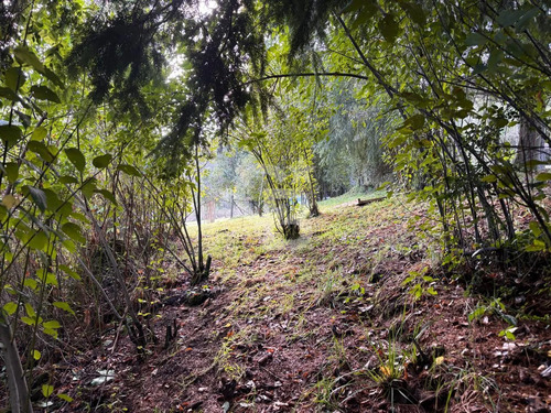 Hectárea , Camino Bajos De Frutillar, Sin Condominio
