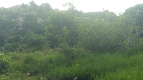 Imagem 7 de 8 de Terreno Em Guabiraba Nova Descoberta - Te0049