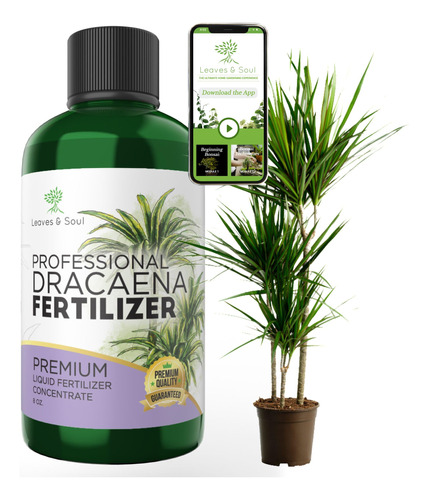 Fertilizante Liquido Profesional Para Plantas Dracaena | 3-1