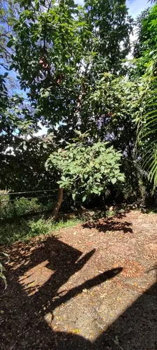 Se Vende Casa Baruta. Caracas