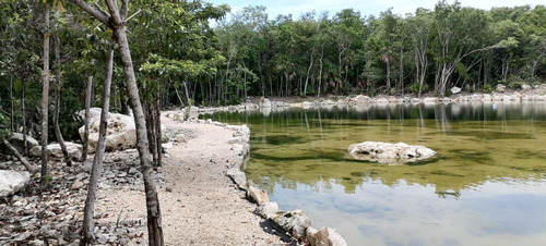 528 Tulum, Tulum, Quintana Roo, Lotes Residenciales Con Cenote Propio