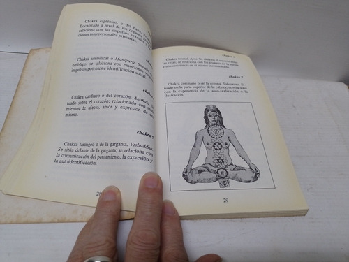 Libro: Reiki Sanación Y Cura Por Las Manos Peychard Y Cano (Usado)