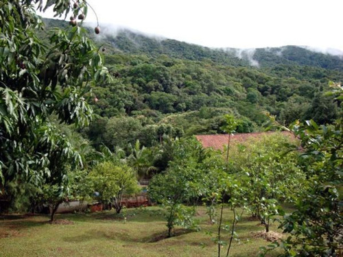 Chácara À Venda Em Mairiporã - Ch00316 - 69024757