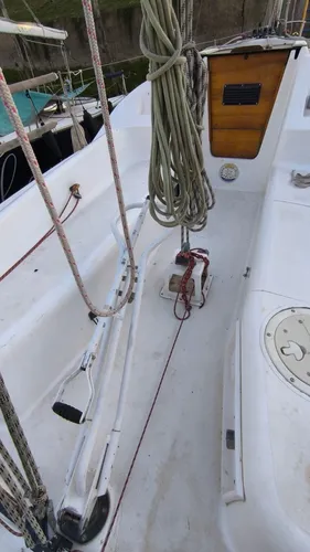Quantum 29 -
