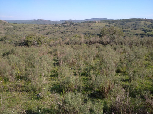 Campo Pintoresco, Con Altura, Cañada