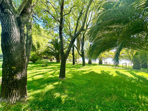 Casa Con Laguna, 7.235m2, Quillon