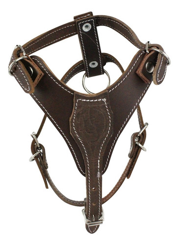 Pechera De Piel #2 Café Conjunto De 4 Productos Macho