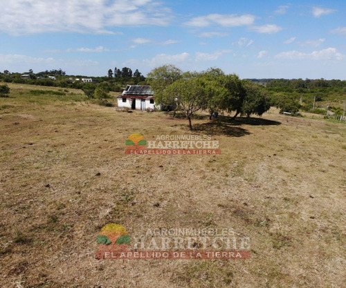 Imagen 13 de 17 de Venta De Chacra Melilla 3 Has Hermoso Paisaje.financia Propietario