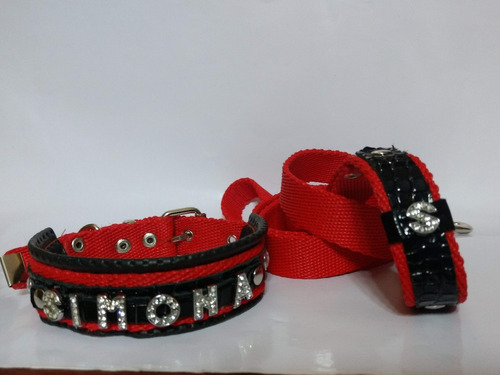 Collar+correa Ovejero,labrador, C/nombre Hta 7letras