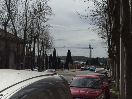 Imagen 16 de 20 de Local - Colonia Del Sacramento