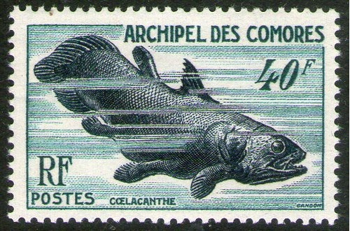Comores Sello Mint Fauna: Pez Celacanto X 40 Fr. Año 1954 