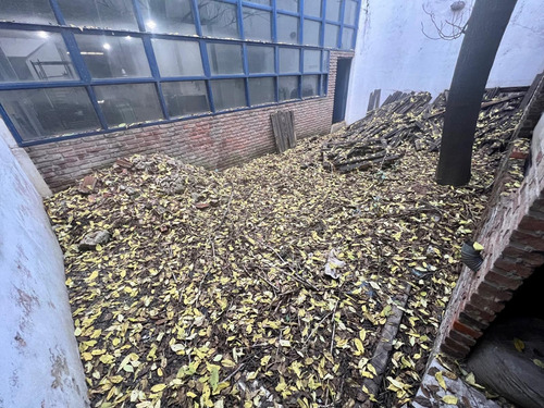 Depósito Lote Propio - 590 M2 Aprox. - Entrada Camión - Montacarga