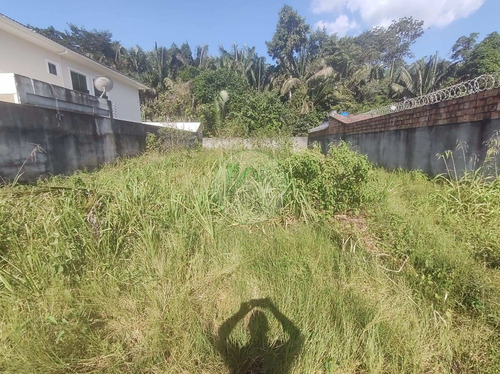 Imagem 10 de 15 de Terreno A Venda No Bairro Ponta Negra, Manaus Am - Te00061 - 69918347