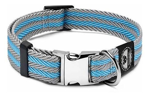 Collar Perro Rayas Azul/gris Ajustable