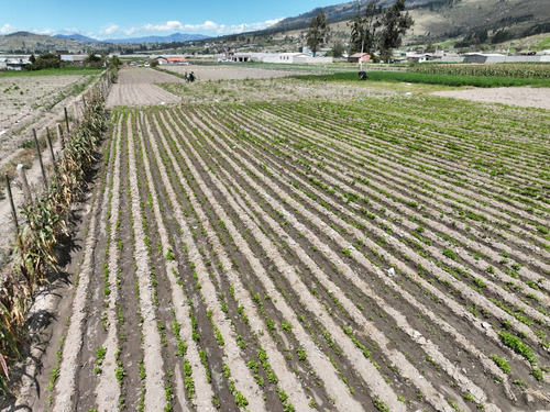 Terreno Sector Cunchibamba Ambato Salcedo - 8000 M2