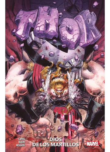 Thor Vol.04 Panini Mexico Premium