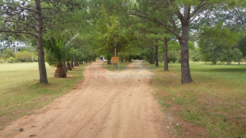 Imagen 4 de 16 de Chacra - Maldonado Otros Barrios
