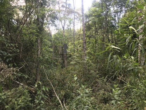 Chácara A Venda No Bairro Centro Em Bocaiúva Do Sul - Pr. - 486-1
