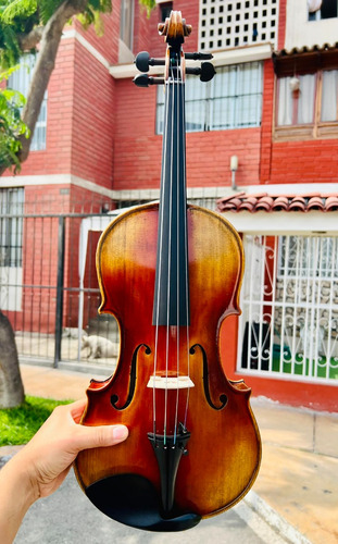 Viola Europea Instrumento Profesional